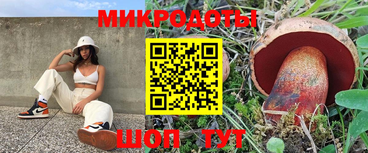 дарнет шоп  Вход с VPN  Реж  Псилоцибиновые грибы прущие грибы 